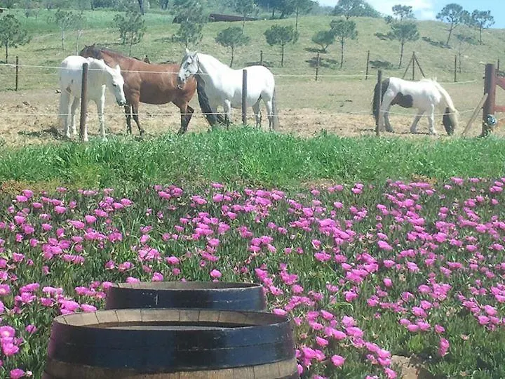 Country house Relente Guest House Casabermeja